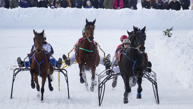 西甲：皇马主场2-1击败皇家贝蒂斯